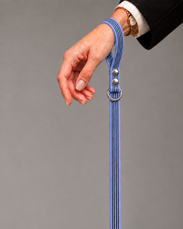 Leash BASIC, Purple / Silver, an einem Hund