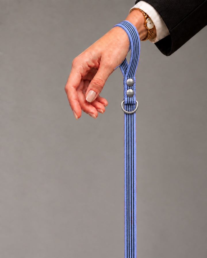 Leash BASIC, Purple / Stainless Steel, an einem Hund