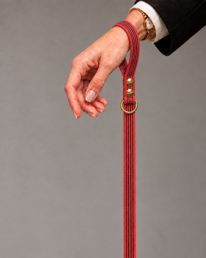 Leash BASIC, Red / Brass, an einem Hund