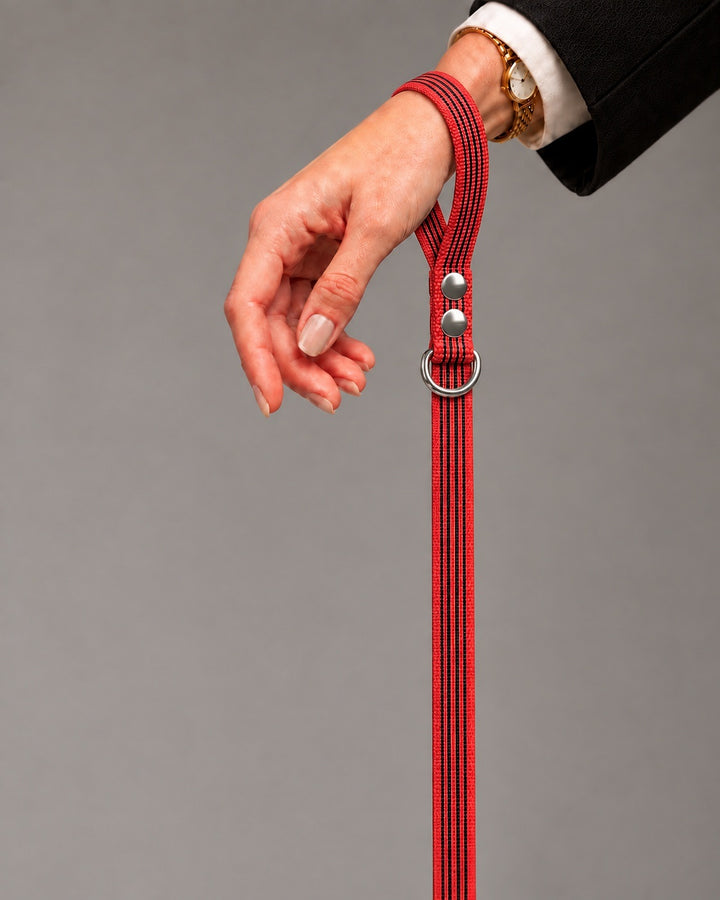 Leash BASIC, Red / Silver, an einem Hund