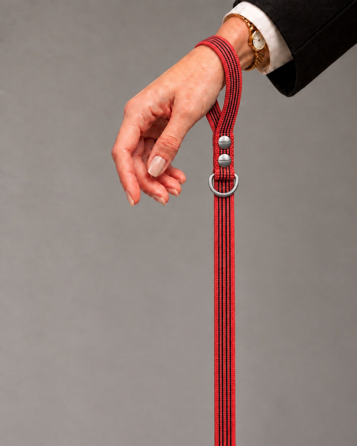Leash BASIC, Red / Stainless Steel, an einem Hund