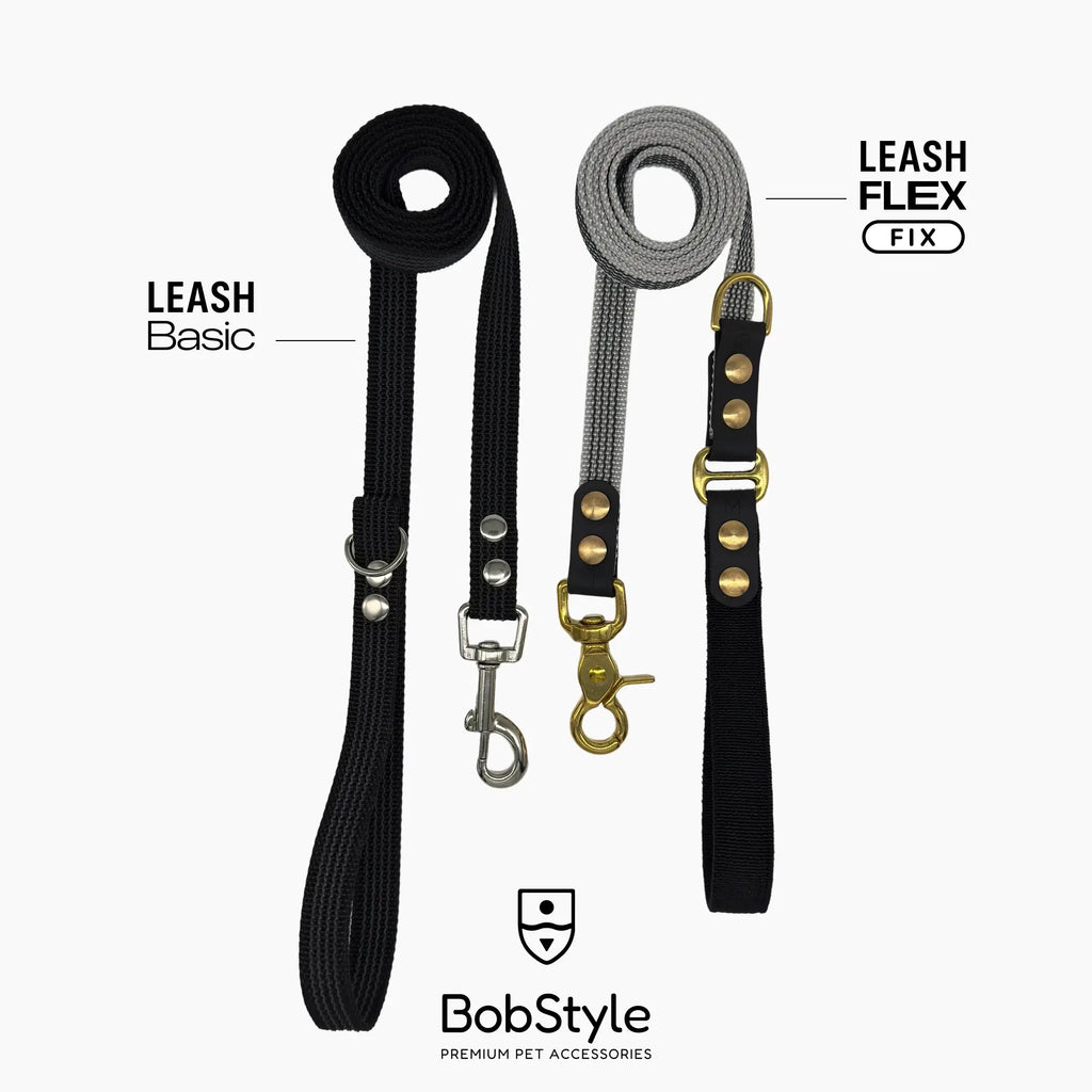 Leash Basic
