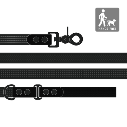 Leash FLEX