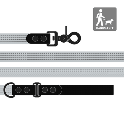 Leash FLEX