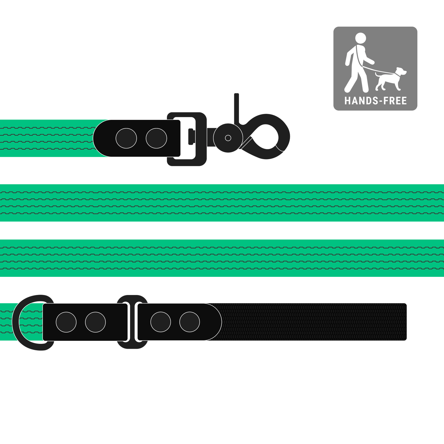 Leash FLEX
