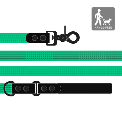 Leash FLEX