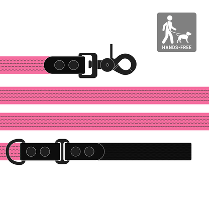 Leash FLEX