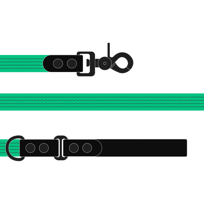 Leash FLEX