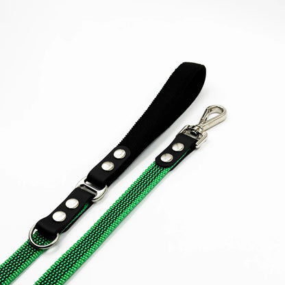 Leash FLEX • Green