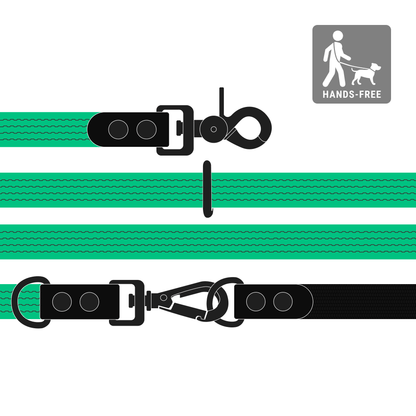 Leash FLEX