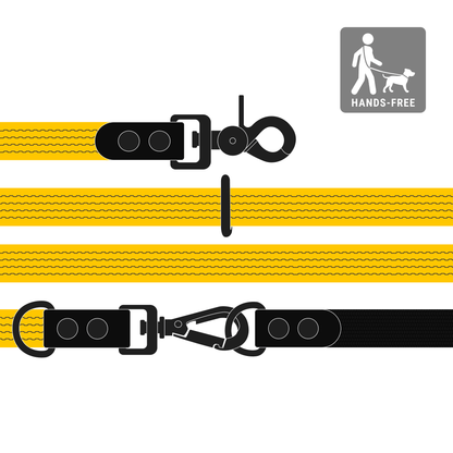 Leash FLEX