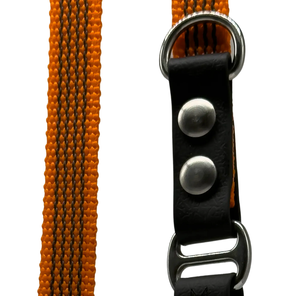 Correa FLEX • Naranja