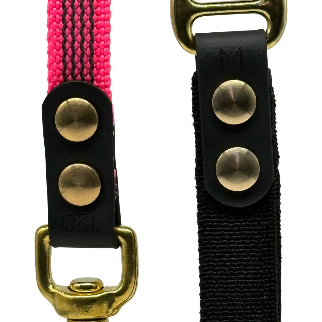 Laisse FLEX • Rose