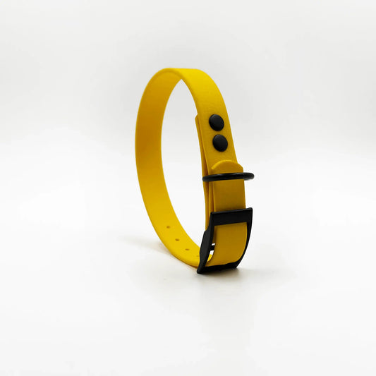Collar MONO • Yellow