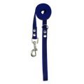 Leash Basic • Blue