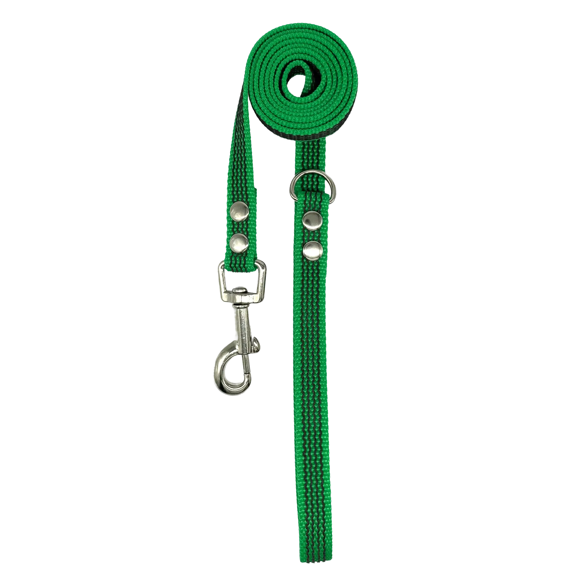 Green dog leash with metal clip on a white background