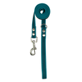 Teal dog leash with silver clip on a white background
