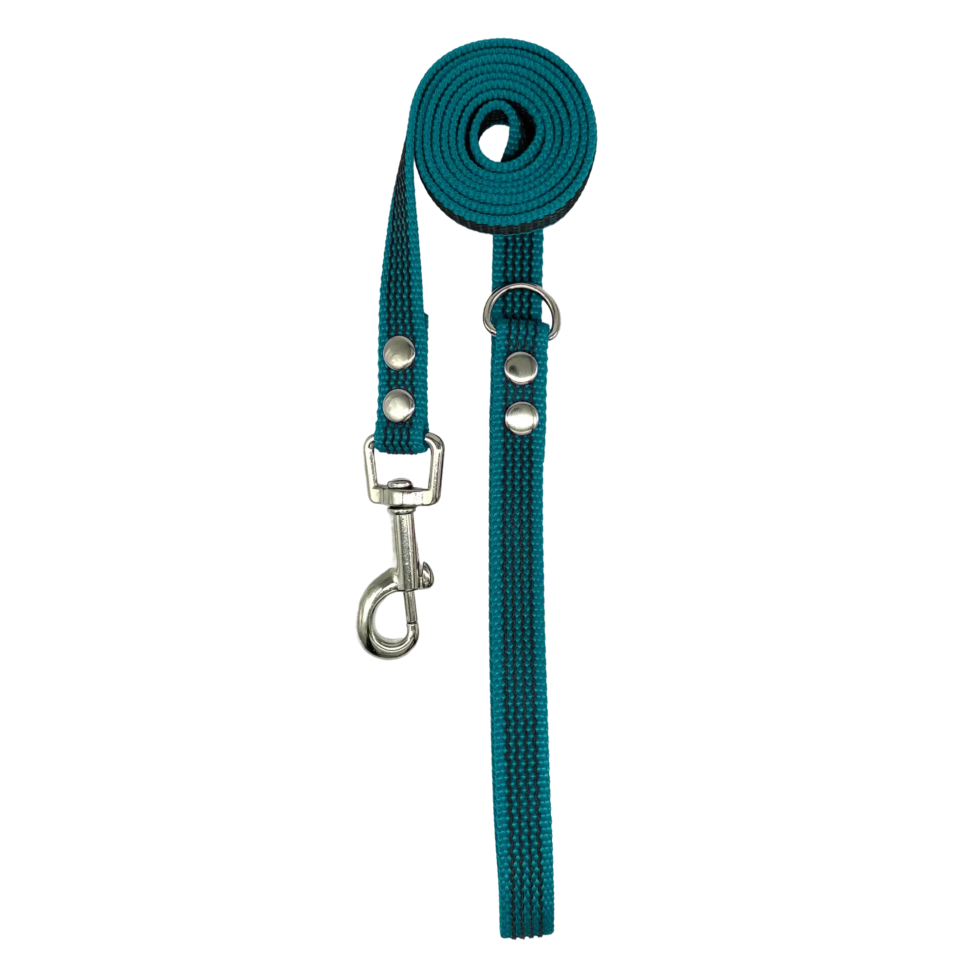 Teal dog leash with silver clip on a white background