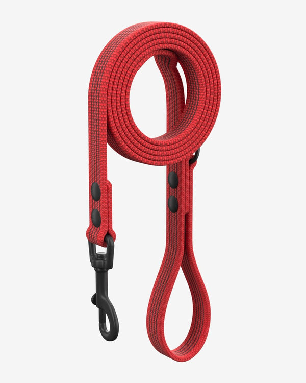 Walk KIT