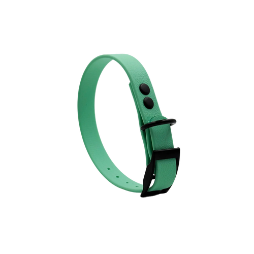Collar MONO • Caribbean Green