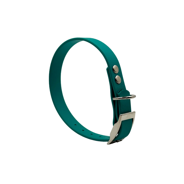 Collar MONO • Teal