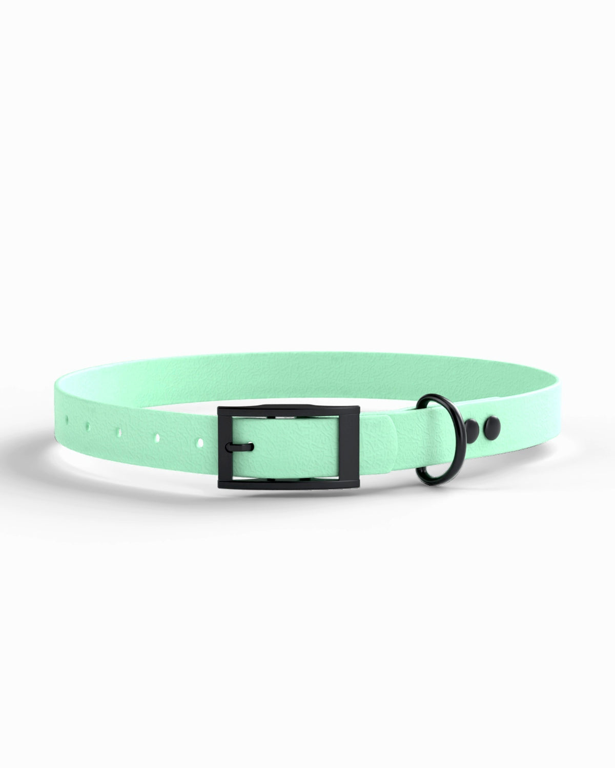 Caribbean Green / Black | 1 front