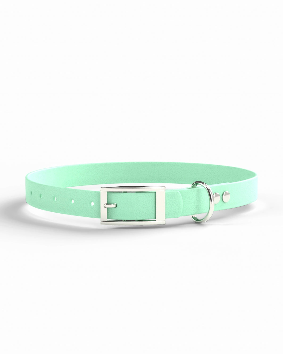 Caribbean Green / Silver | 1 front