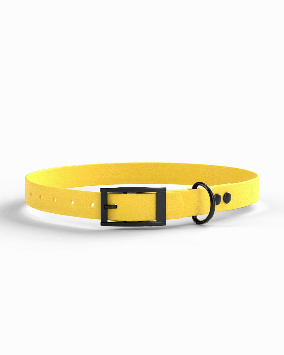 Yellow / Black | 1 front
