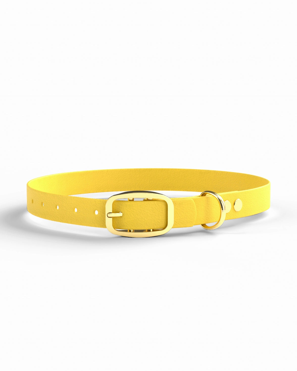 Yellow / Brass | 1 front