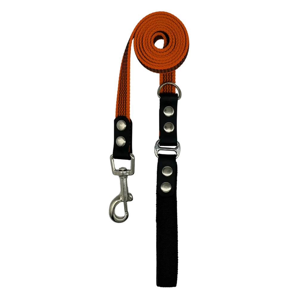 Orange dog leash with silver hook on a white background
