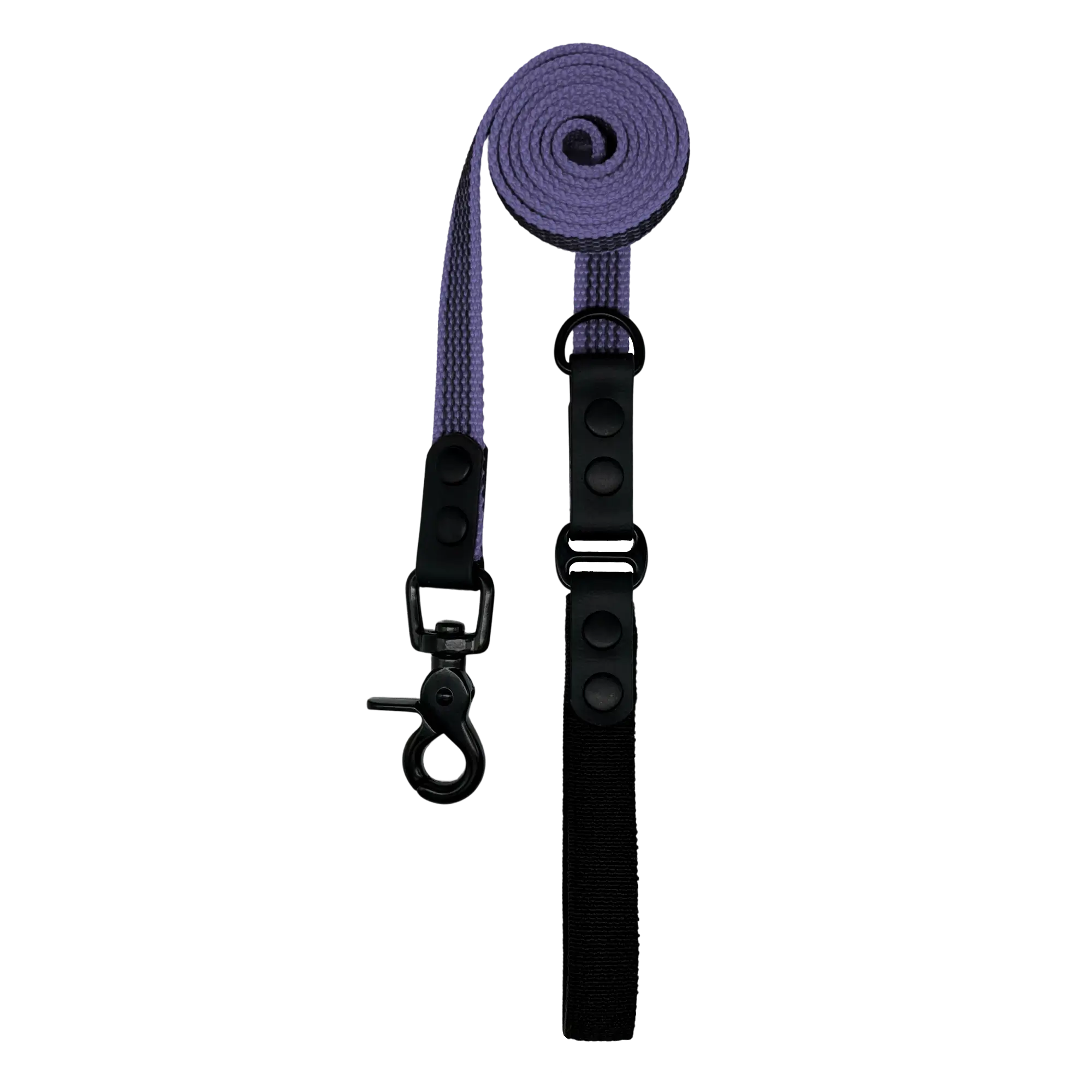 Purple dog leash with black hook on a white background