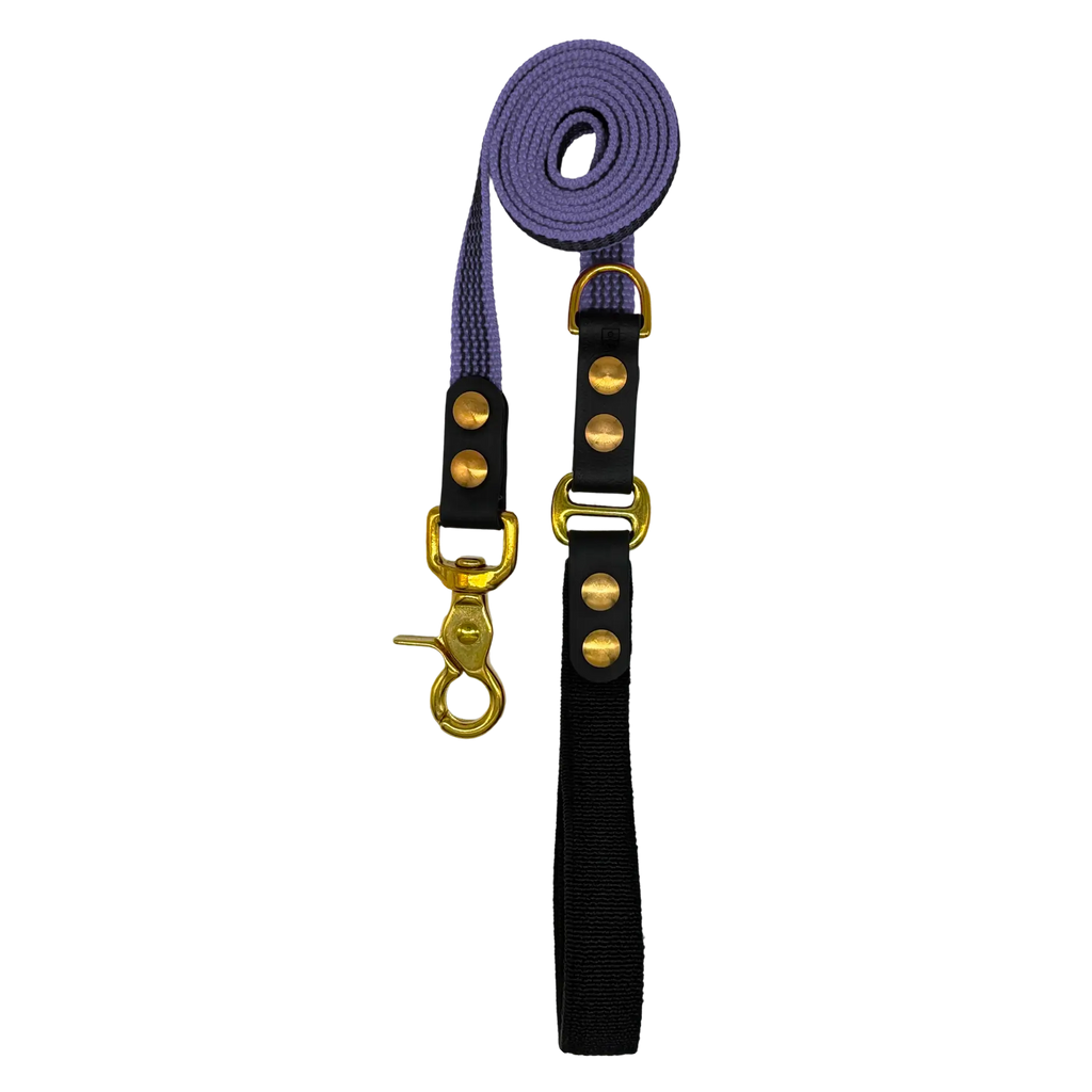 Purple dog leash with brass hardware and a flex handle on a white background