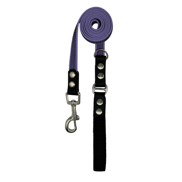 Purple dog leash with flex handle on a white background
