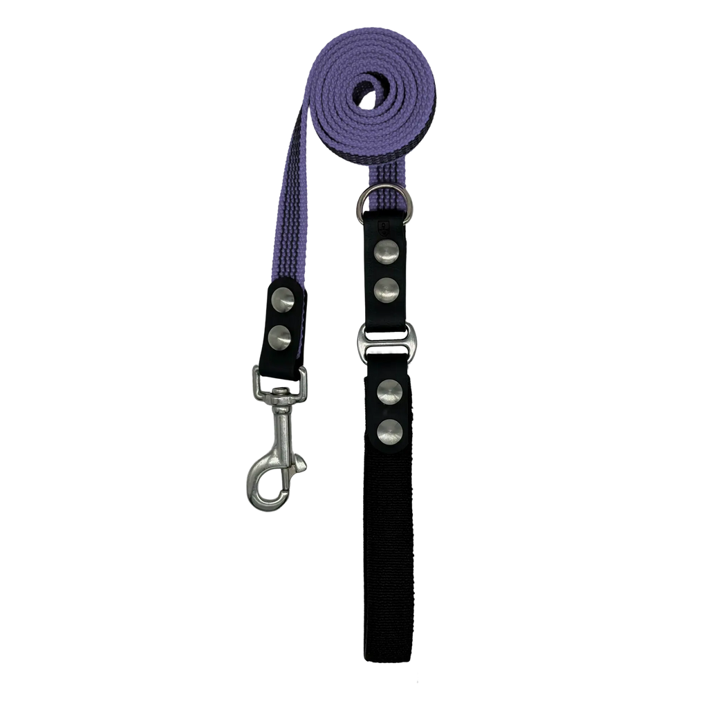 Dog leash with purple strap and black flex handle on a white background