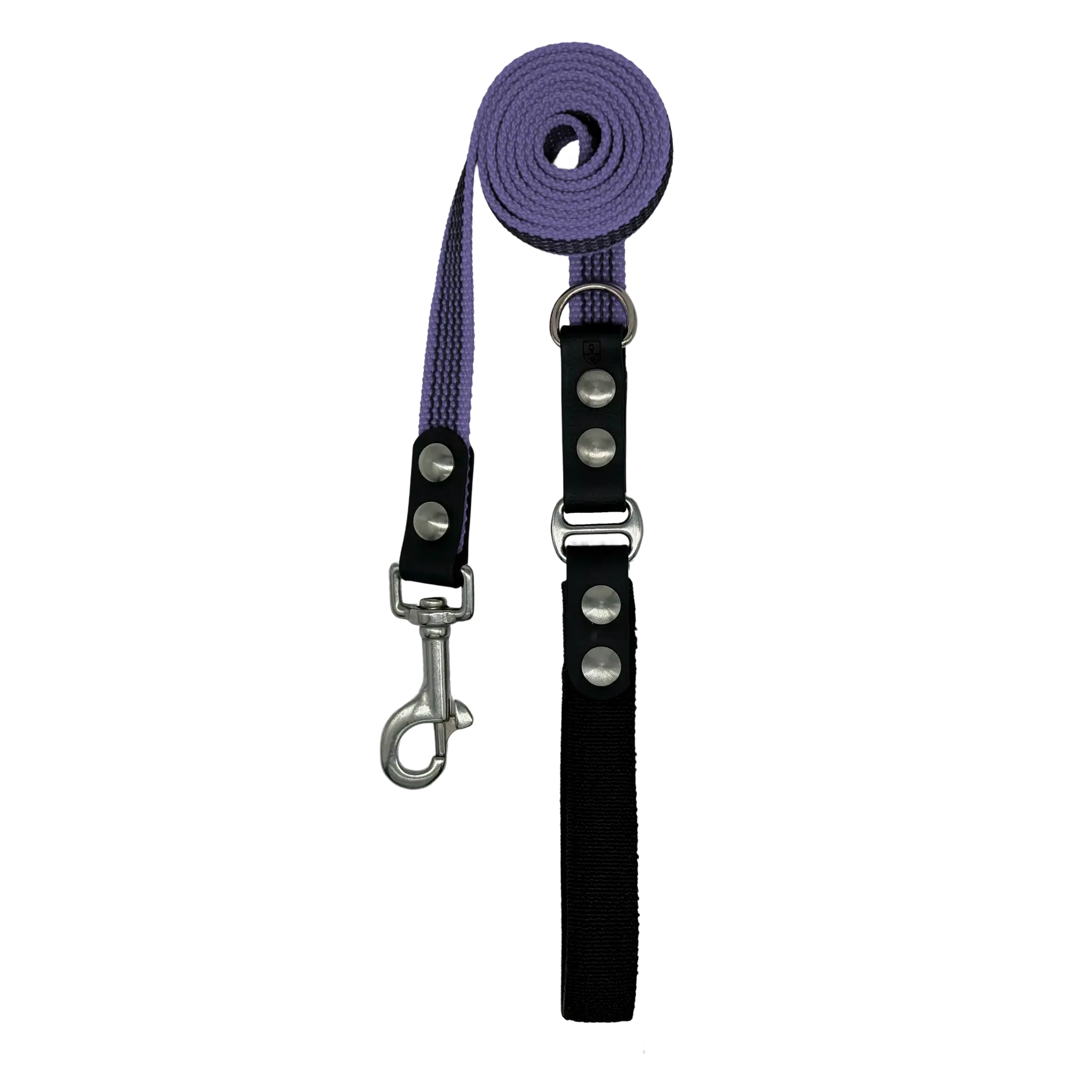 Dog leash with purple strap and black flex handle on a white background