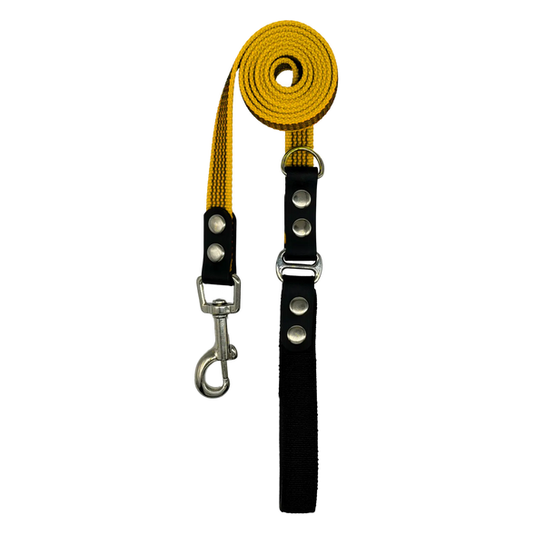 Dog leash with yellow and black sections on a white background