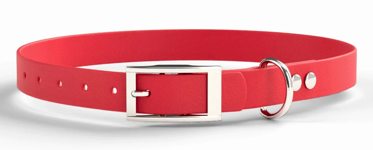 Collar MONO in Red with Silver hardware, square buckle, D-ring, Cap rivets, parts numbered