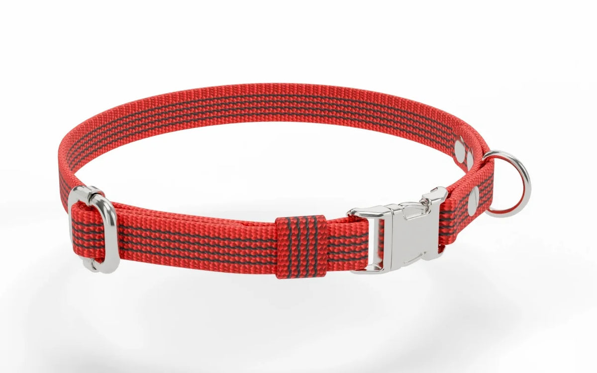 Collar QUICK in Red mit Beschlägen in Silver, Type 1 Verstellschieber, D-Ring, Cap Nieten, Teile nummeriert