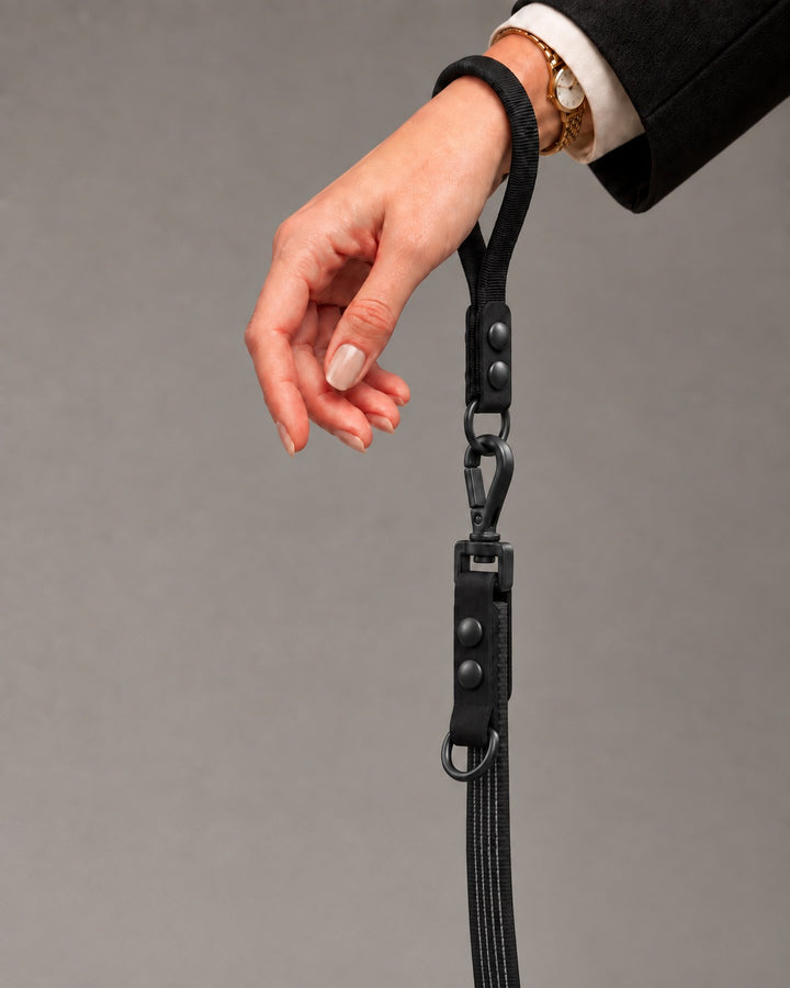 Leash FLEX, Black / Black, on a dog