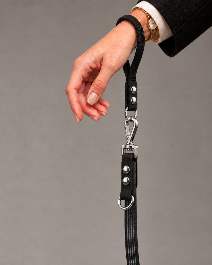 Leash FLEX, Black / Silver, on a dog