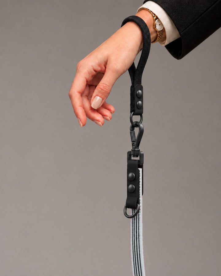 Leash FLEX, Gray / Black, on a dog