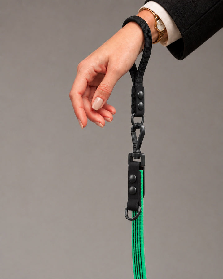 Leash FLEX, Green / Black, on a dog