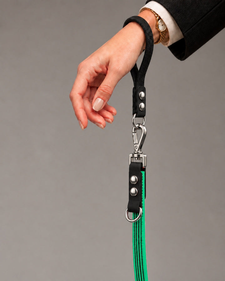 Leash FLEX, Green / Silver, on a dog