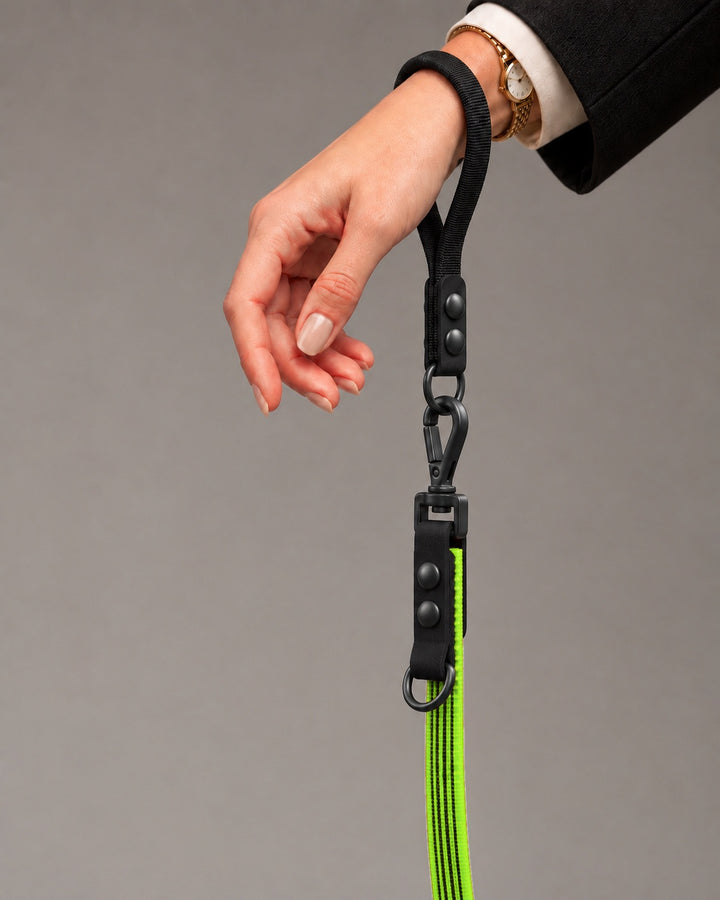 Leash FLEX, Lime / Black, on a dog