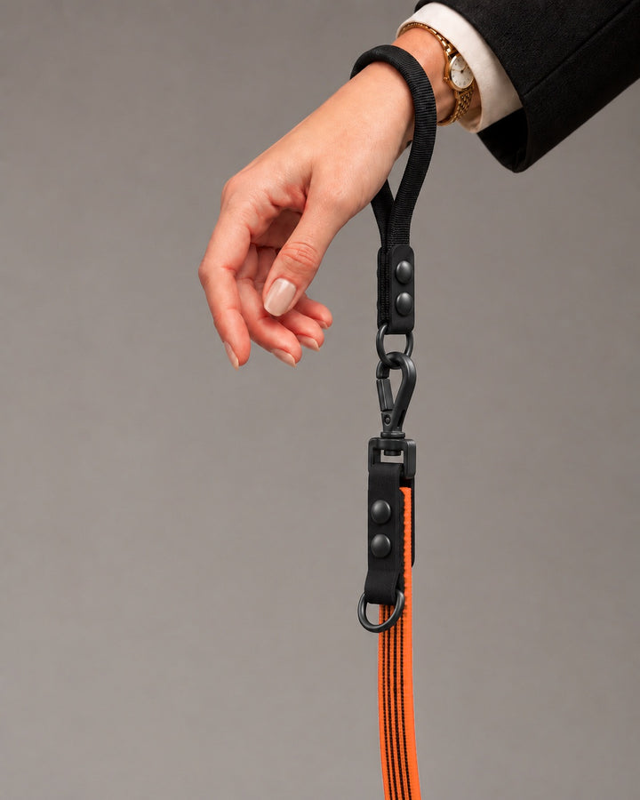 Leash FLEX, Orange / Black, on a dog