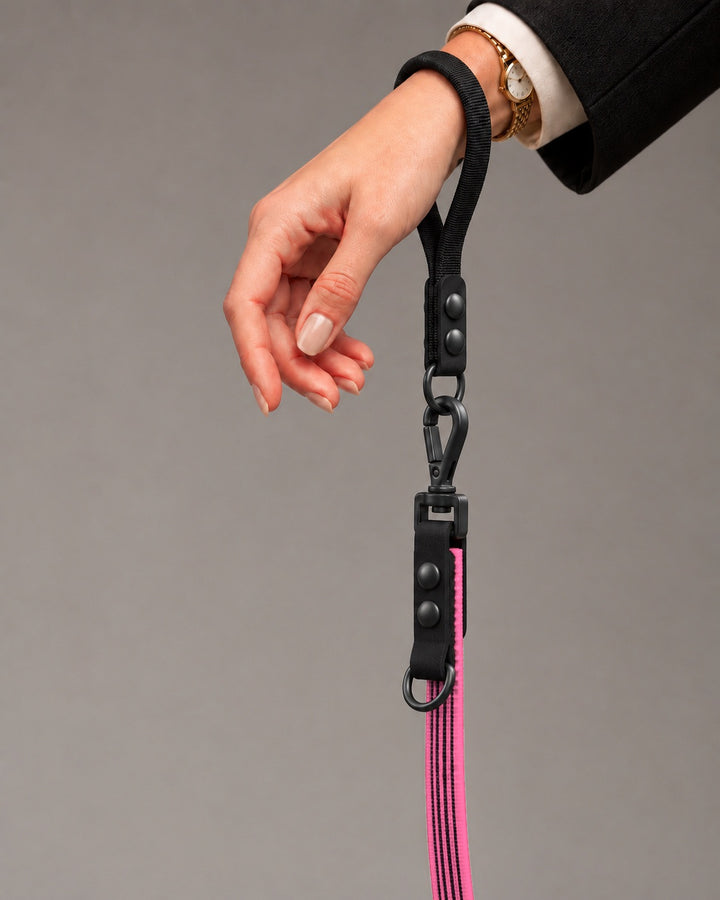 Leash FLEX, Pink / Black, on a dog