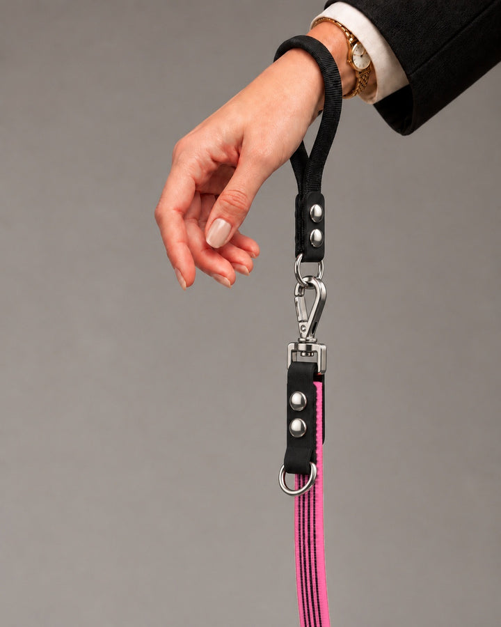 Leash FLEX, Pink / Silver, on a dog