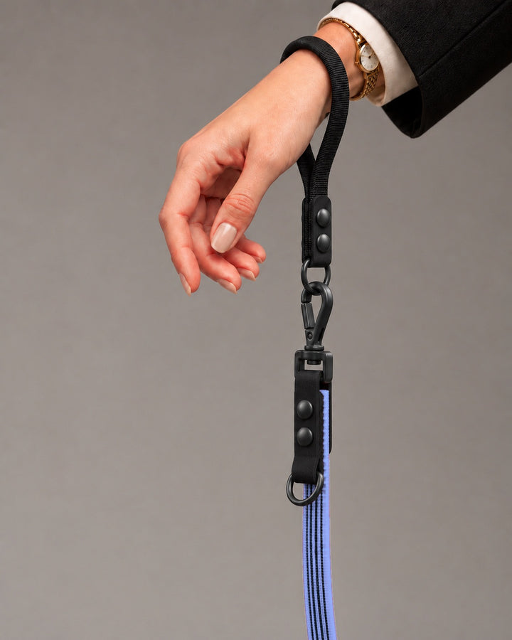 Leash FLEX, Purple / Black, on a dog