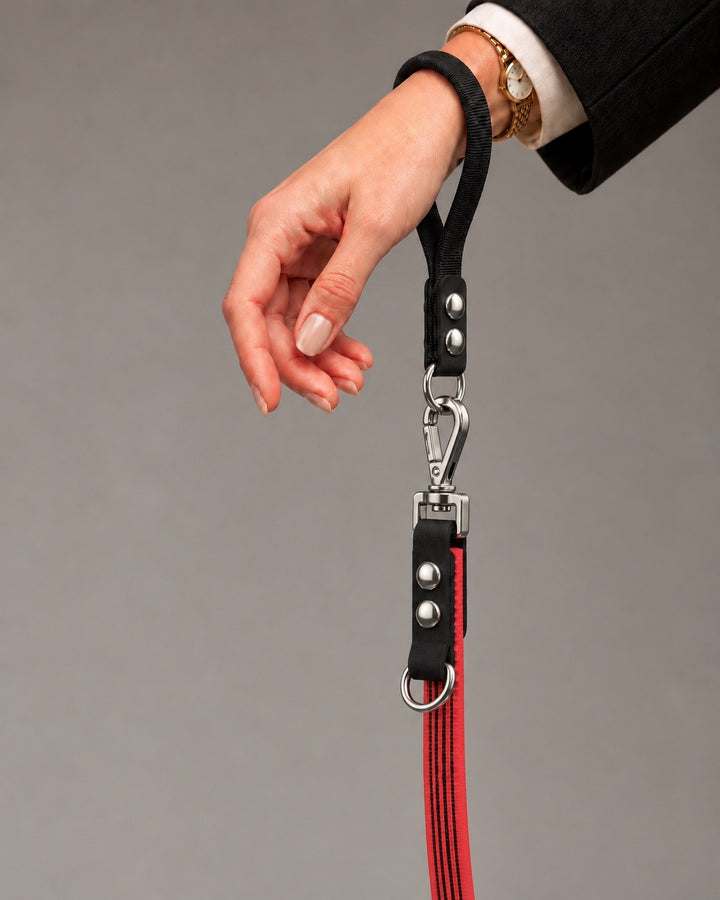 Leash FLEX, Red / Silver, on a dog