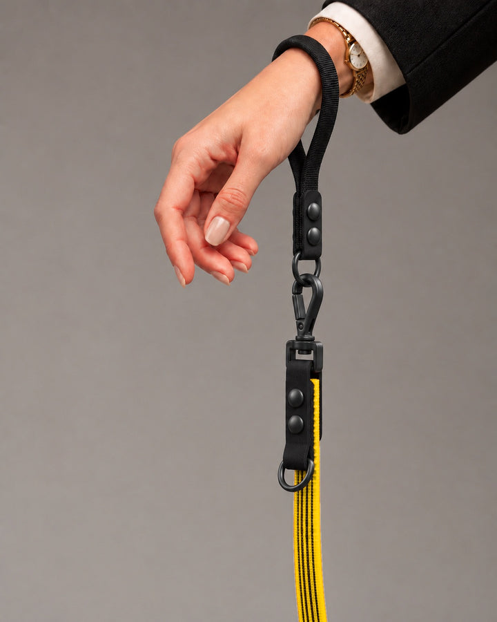 Leash FLEX, Yellow / Black, on a dog